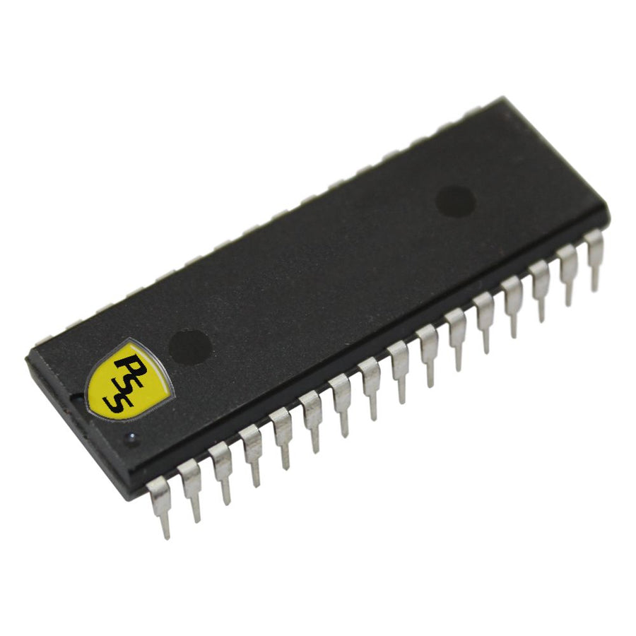 Replacement memory chip 3000 cap